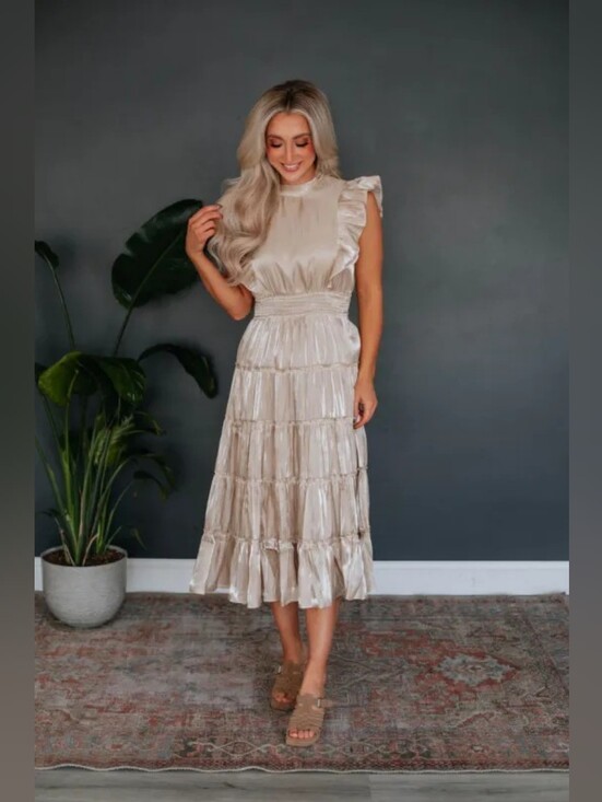 Wishlist Dresses & Skirts - WISHLIST Elegant Midi Ruffle Dress